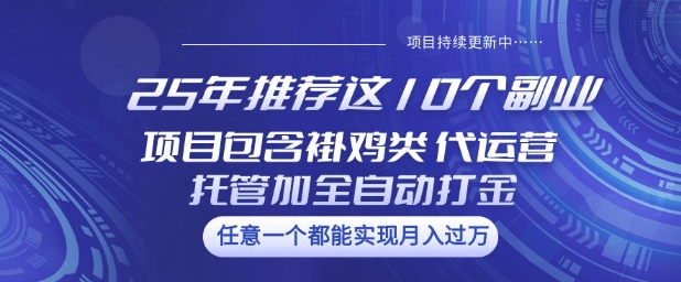25年推荐这10个副业项目包含褂鸡类、代运营托管类、全自动打金类【揭秘】-壹选网