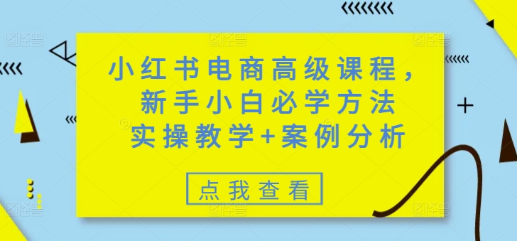 小红书电商高级课程，新手小白必学方法，实操教学+案例分析-壹选网